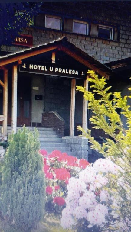 Kopretina Apartment Cerne Udoli Exterior photo